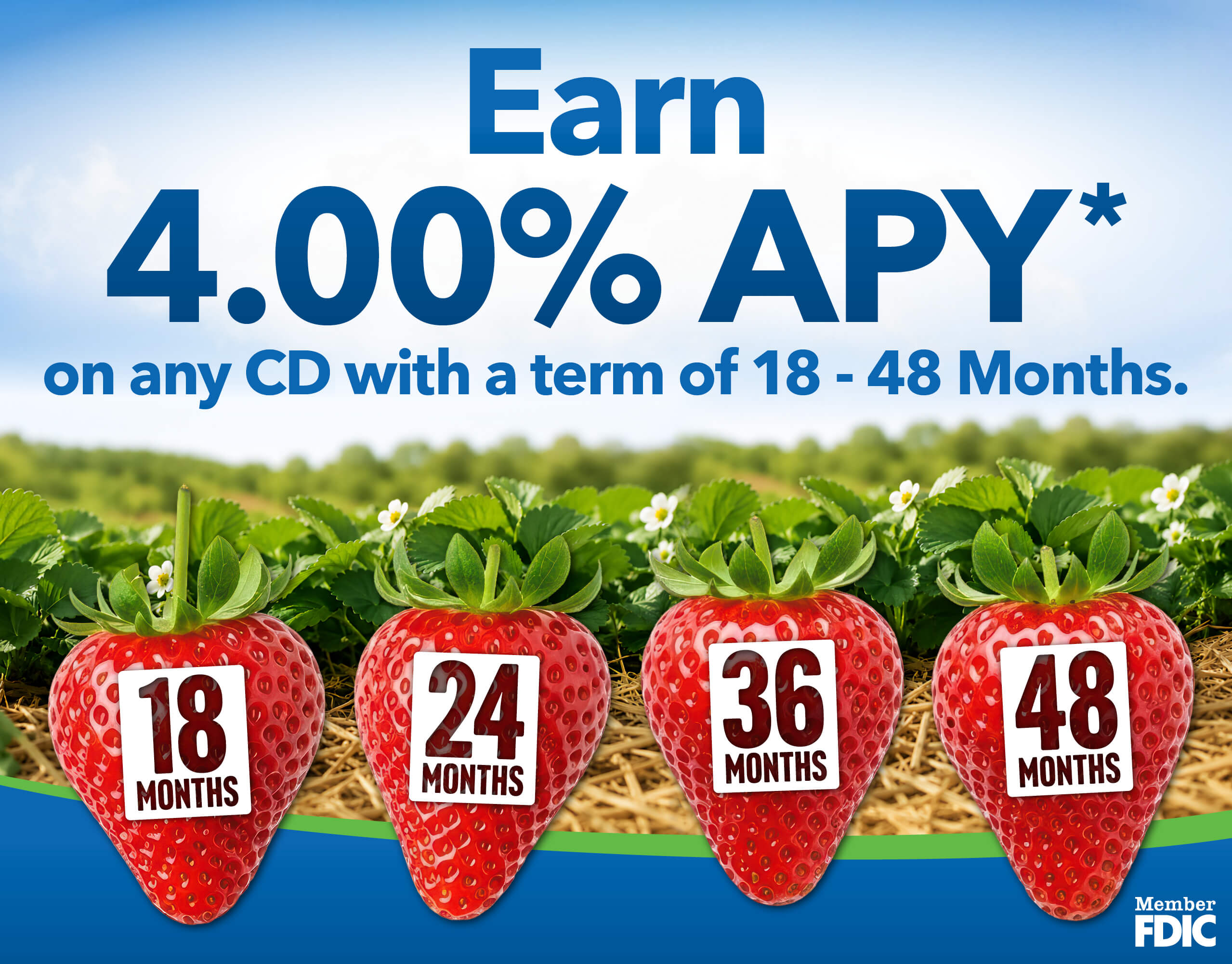 EARN 4.00% APY*