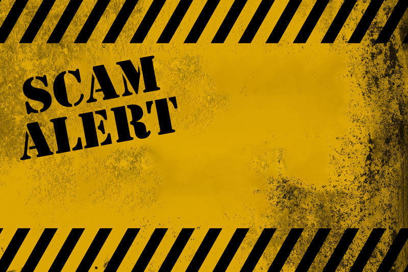Scam Alert Notification