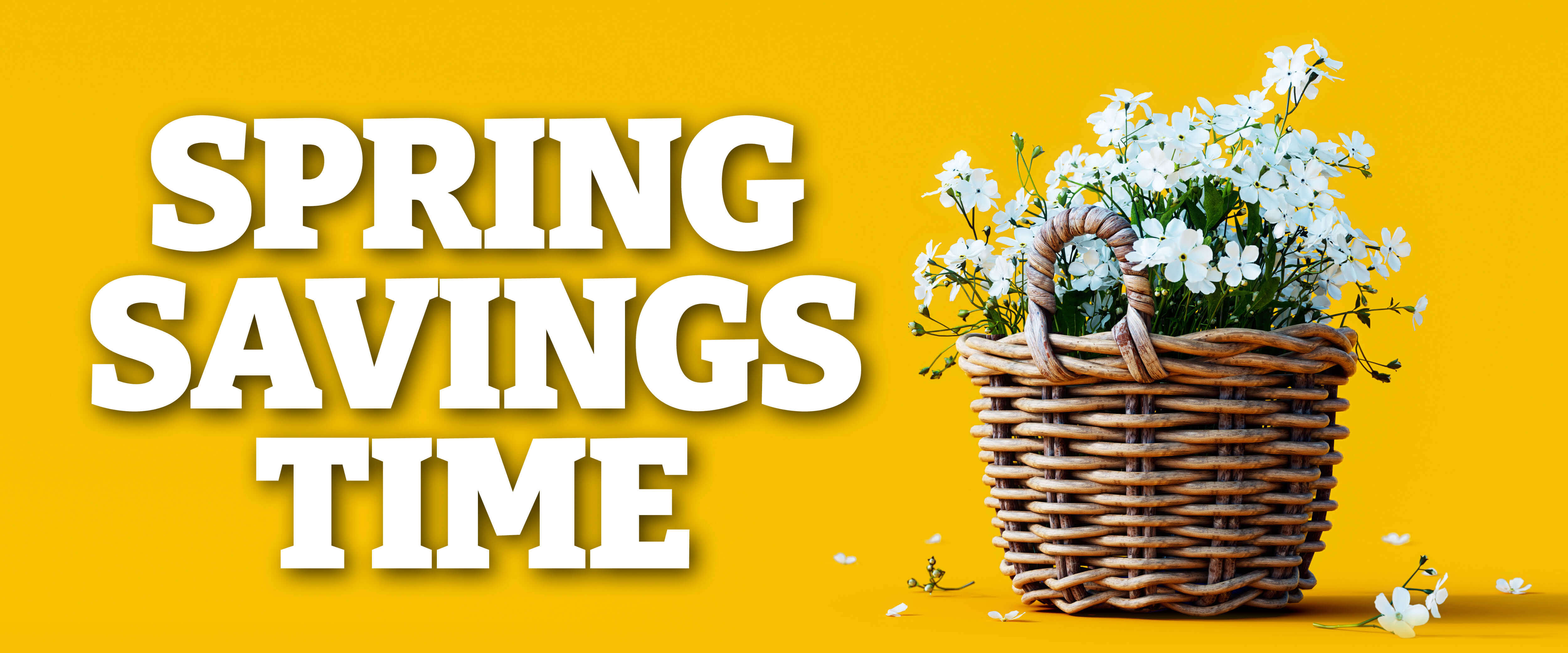 Spring Savings Time